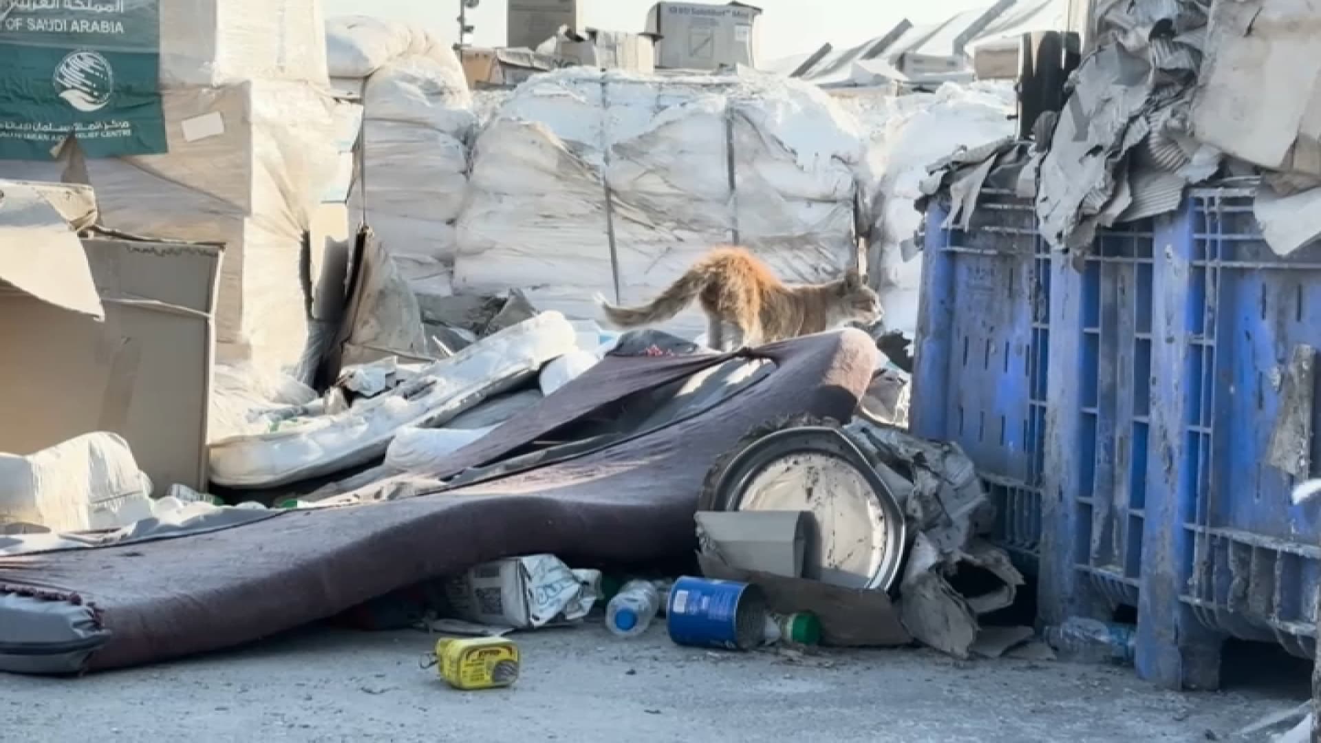 Flour, Dots Chick, canned tomatoes ... tons of food packages abandoned in Gaza on July 27, 2025.