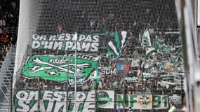 Des supporteurs de Saint-Etienne pendant un match de Ligue 1 à Angers, le 26 octobre 2024