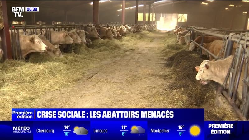 Crise sociale: pourquoi un tiers des abattoirs français sont menacés de fermeture