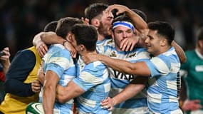 Les joueurs de l'Argentine le 15 novembre 2024