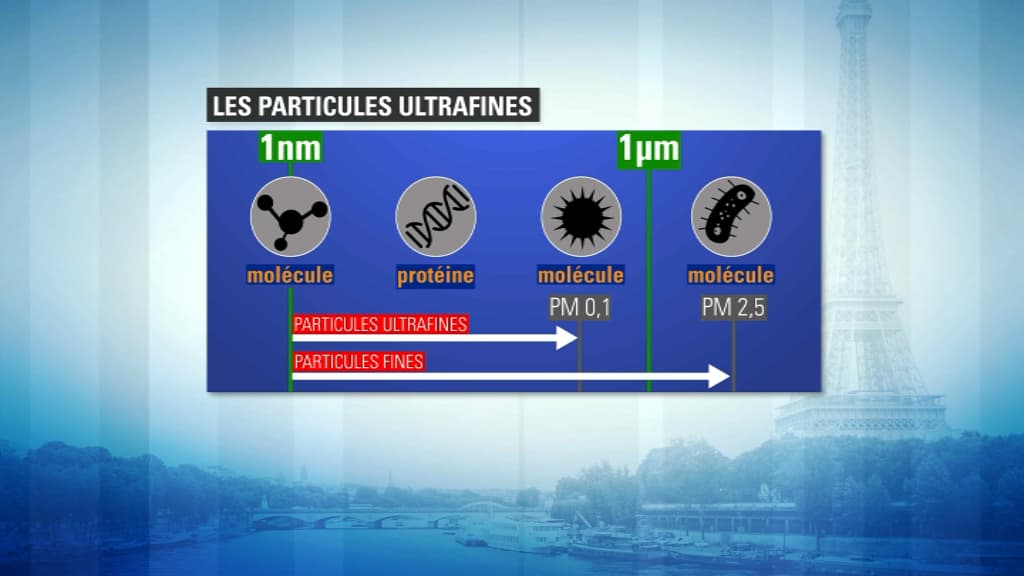 particules particules