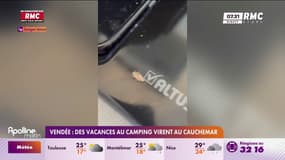 En Vendée, des vacances au camping virent au cauchemar