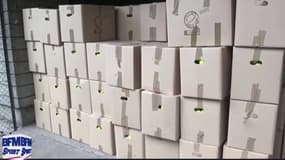 Tennis : C'est reparti pour l'opération balles jaunes qui recycle les balles de tennis