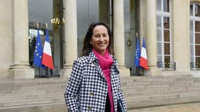 La ministre de l'Ecologie Ségolène Royal.