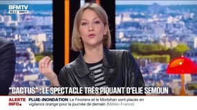 LA CULTURE D'ALIX: Elie Semoun en tournée pour la sortie de son nouveau spectacle "Cactus" 