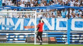Steve Mandanda de retour à l'OM. 