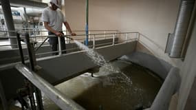 Dégraissage et de dessablage des eaux usées à la station d'épuration de Narbonne, dans le sud de la France, le 18 août 2022