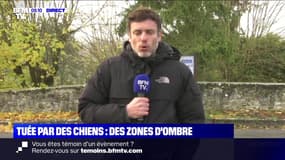 Tuée par des chiens: des zones d'ombre - 21/11