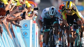 Sagan et Van Aert