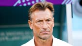 Hervé Renard