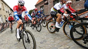 Van der Poel et Alaphilippe