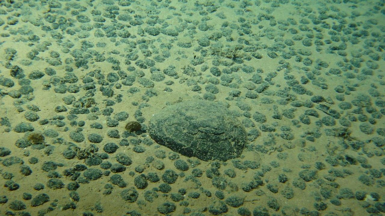 Les nodules polymétalliques regorgent de métaux.