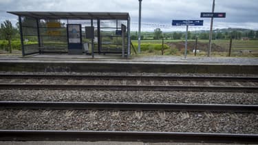 Le bois fait son grand retour face au béton, pour les traverses, les quais de gare ou les passerelles.