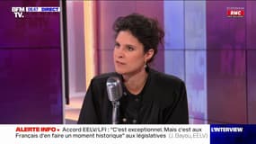 Bayou : "EELV sera présent dans une centaine de circonscriptions"