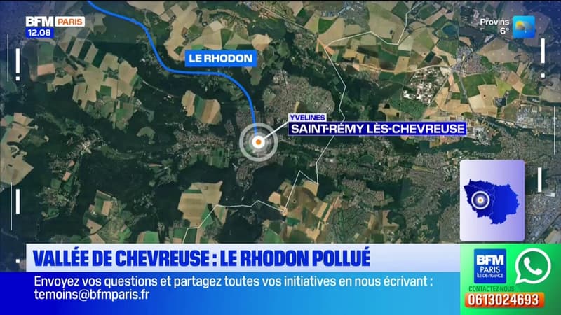 Vallée de Chevreuse: l’accès au Rhodon restreint en raison d’une pollution