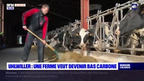 Bas-Rhin: une ferme d'Uhlwiller veut obtenir la certification "bas carbone"