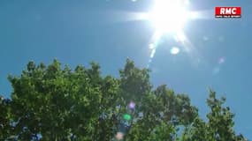 49,7°C au Canada : vagues de chaleur historiques !