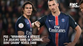 PSG : "Ibrahimovic a détesté 3-4 joueurs dans sa carrière, dont Cavani" révèle Ciani