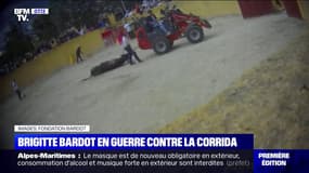 Brigitte Bardot, militante pour le droit des animaux, s'élève contre la corrida après la mort d'un taureau 