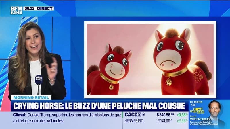 Morning Retail : Crying horse... le buzz d'une peluche mal cousue, par Eva Jacquot - 13/02