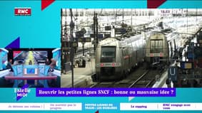 Rouvrir les petites lignes SNCF : "On a abandonné nos territoires ruraux !" affirme Patricia Perennes, économiste des transports !