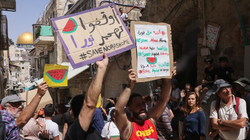 Pourquoi la pastèque est utilisée dans les manifestations et sur les réseaux sociaux en soutien aux Palestiniens