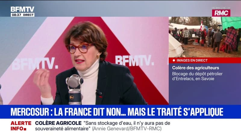 La ministre de l'Agriculture Annie Genevard affirme que l'accord avec le Mercosur pourrait entrer en "application provisoire immédiate" ce samedi