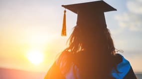 Intelligences alternatives 