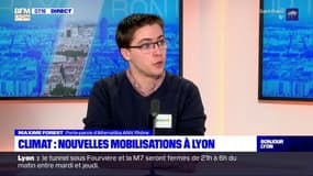 Marche pour le climat et grève internationale des jeunes: nouvelles mobilisations à Lyon contre le réchauffement climatique