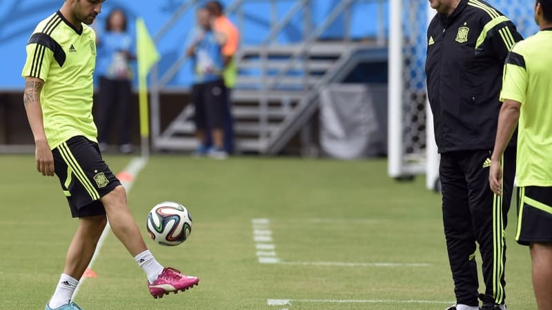 Cesc Fabregas