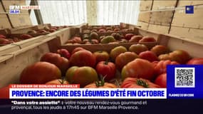 Provence: encore des légumes d'été fin octobre