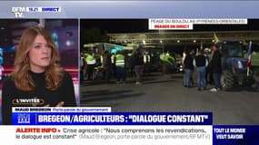 Accord UE-Mercosur: "Si Bruxelles décidait d'enjamber l'avis de la France (...) ça constituerait un coup de canif indélébile", estime la porte-parole du gouvernement Maud Bregeon