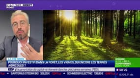 Arnaud Tarran (Auch) : Pourquoi investir dans la forêt, les vignes ou encore les terres agricoles - 22/02