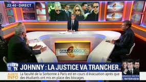 Héritage de Johnny Hallyday: la justice tranchera demain (1/2)
