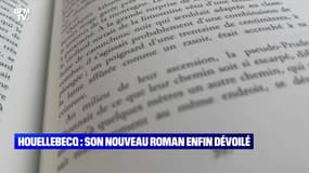 Houellebecq : son nouveau roman enfin dévoilé - 30/12