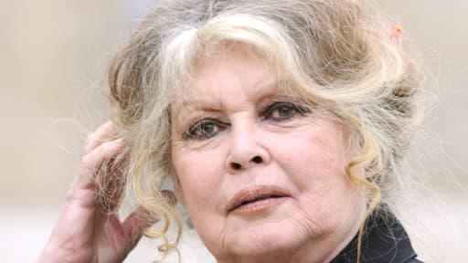 Le chat perdu de Brigitte Bardot s'appelle Rontonton