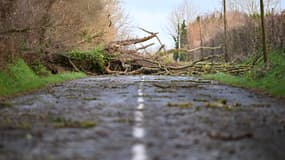  La route est bloquée par des arbres tombés après la tempête Goretti près de Sainte-Marie-du-Mont, dans la Manche, le 9 janvier 2026.