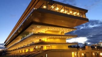 Les pronos hippiques du jeudi 22 juillet 2021