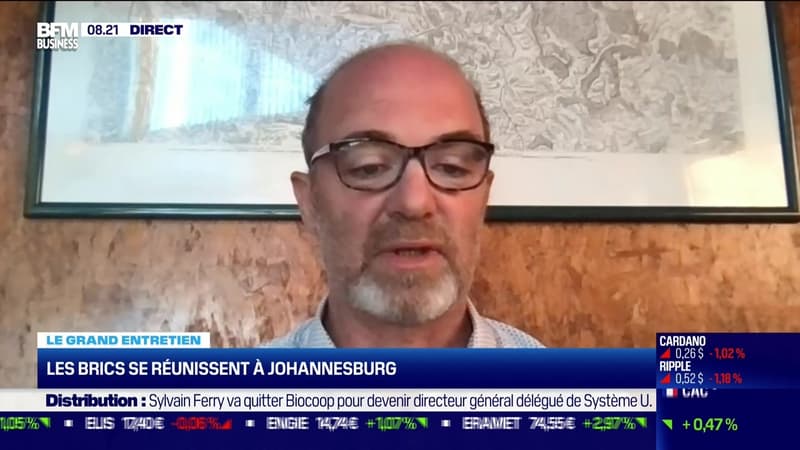 Julien Vercueil (Inalco) : Les BRICS se réunissent à Johannesburg - 22/08
