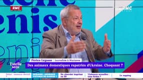 Des aniaux domestiques rapatriés d'Ukraine : choquant ? L'avis de Périco Légasse