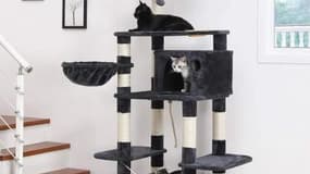Ne ratez pas cette offre démentielle proposée par Cdiscount sur cet arbre à chat

