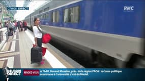 "Un choix écologique", le train en vogue cet été même sur les trajets longs