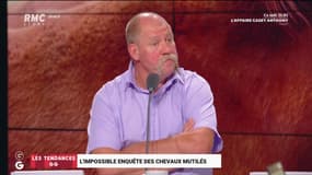 Les tendances GG : L'impossible enquête des chevaux mutilés - 27/08
