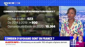 Combien d'Afghans sont-ils arrivés en France ? BFMTV répond à vos questions