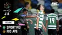 Résumé : Sporting 1-1 Rio Ave - Liga portugaise (J14)