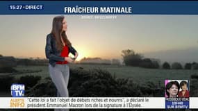 La météo pour ce mardi 31 octobre 2017