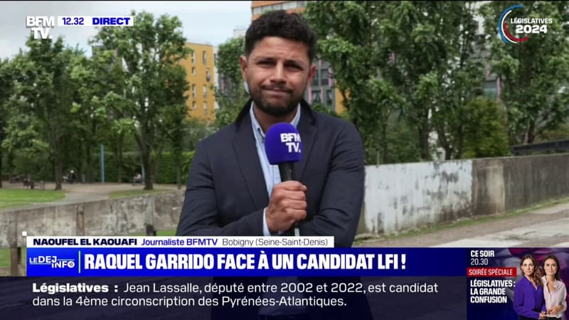 Législatives: Raquel Garrido fera face à un candidat LFI en Seine-Saint-Denis