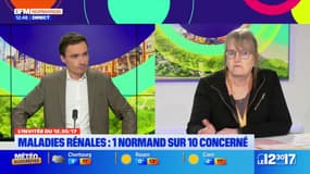 "Une maladie invisible et silencieuse": un Normand sur dix est concerné par une maladie rénale