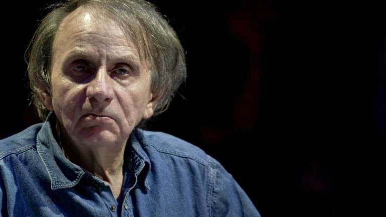 Michel Houellebecq on the poster of a porn film which will be released in March