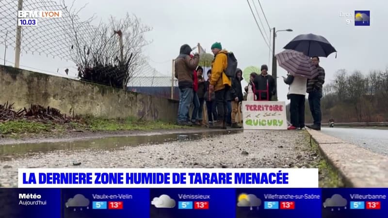 La dernière zone humide de Tarare menacée, une manifestation organisée